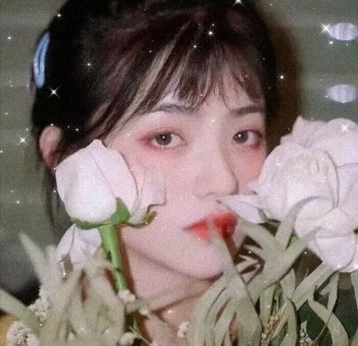 月陨回声